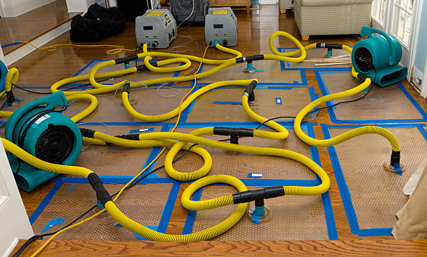 Professional Burst Pipe Water Damage technician working in Marshfield, MA